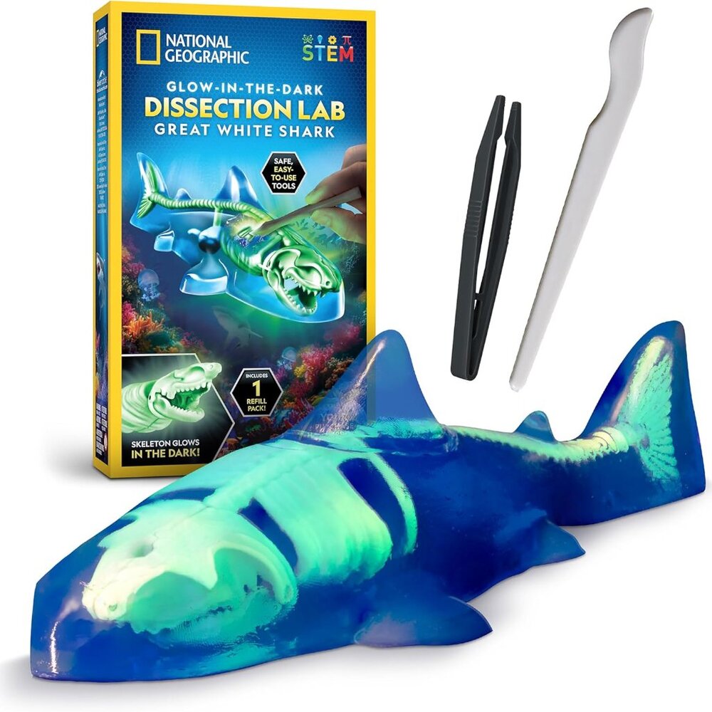 National Geographic Shark Dissection Kit Glow in The Dark Great White Shark Anat